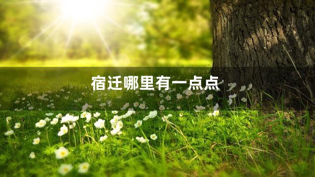 宿迁哪里有一点点