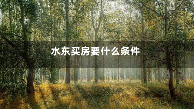 水东买房要什么条件