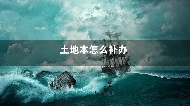 土地本怎么补办