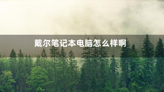 戴尔笔记本电脑怎么样啊