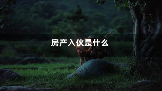 房产入伙是什么