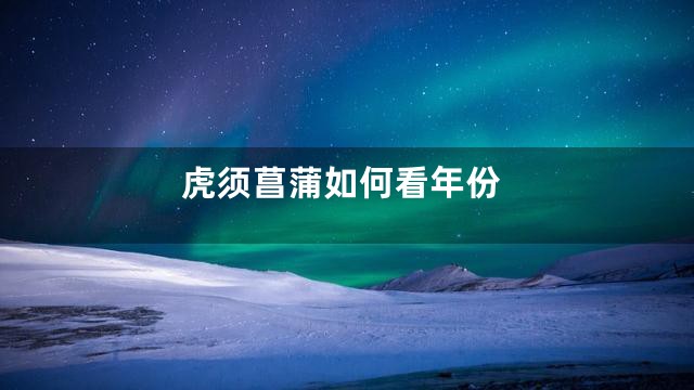 虎须菖蒲如何看年份