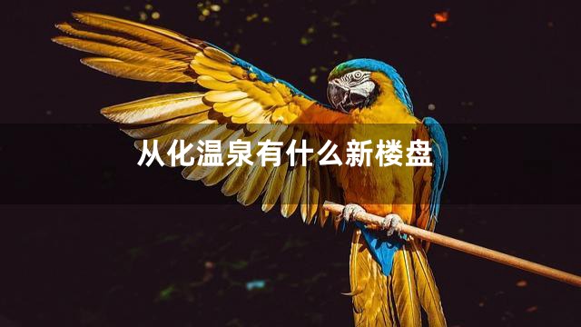 从化温泉有什么新楼盘