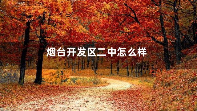 烟台开发区二中怎么样