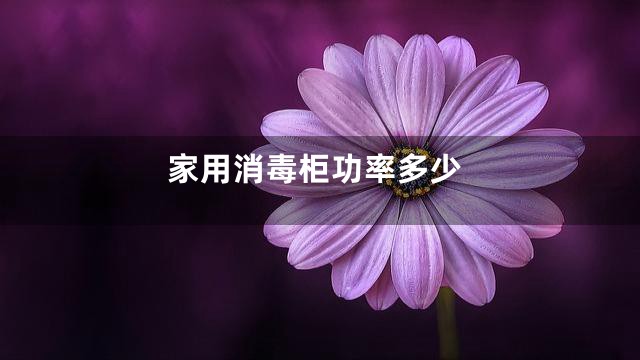 家用消毒柜功率多少