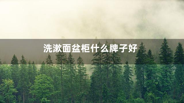 洗漱面盆柜什么牌子好