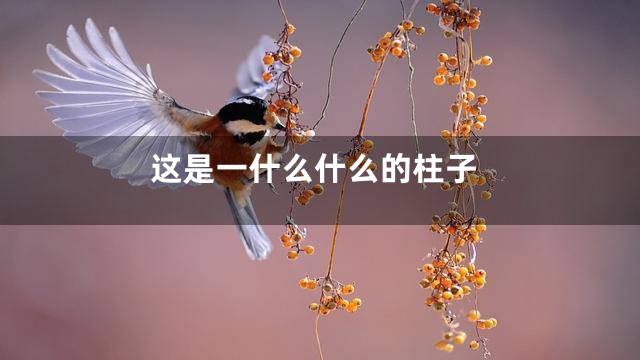 这是一什么什么的柱子