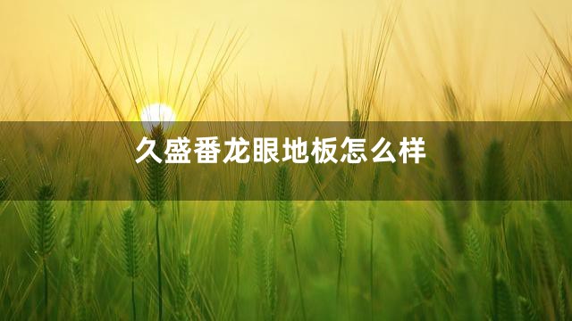 久盛番龙眼地板怎么样