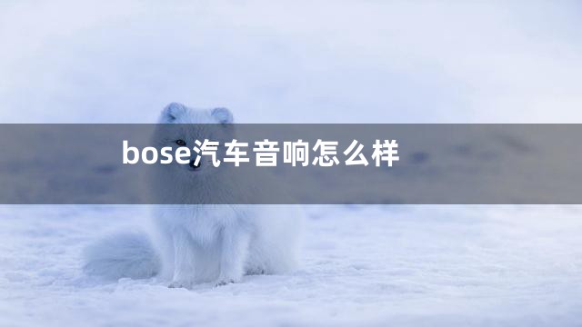 bose汽车音响怎么样
