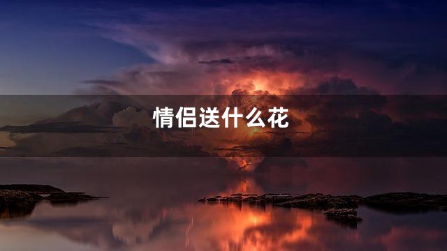 情侣送什么花