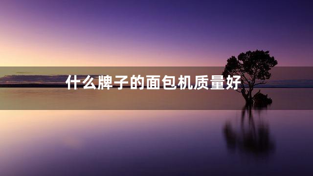 什么牌子的面包机质量好