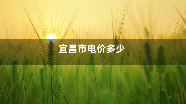 宜昌市电价多少