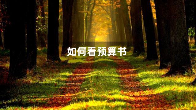 如何看预算书
