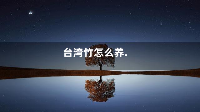 台湾竹怎么养.