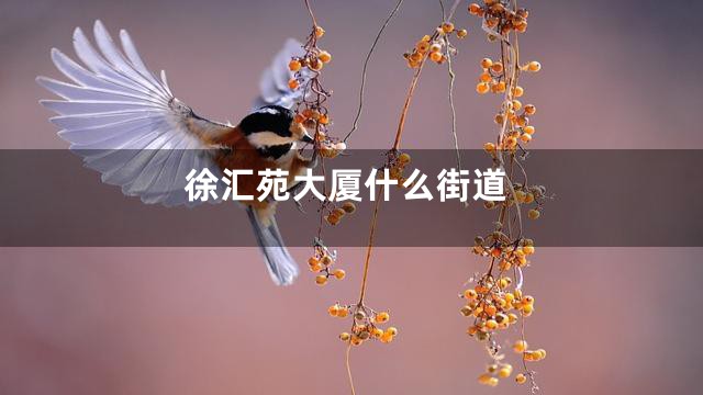 徐汇苑大厦什么街道