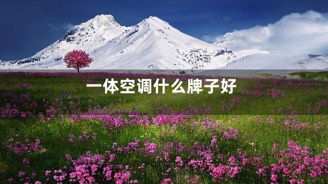 一体空调什么牌子好