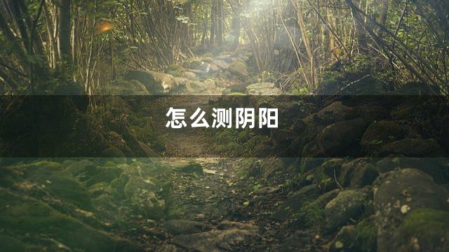 怎么测阴阳