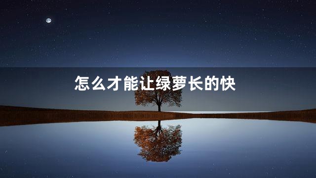怎么才能让绿萝长的快