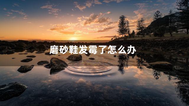 磨砂鞋发霉了怎么办