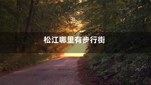 松江哪里有步行街