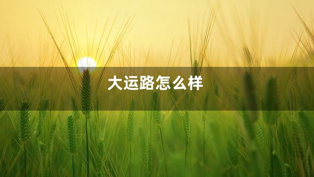 大运路怎么样