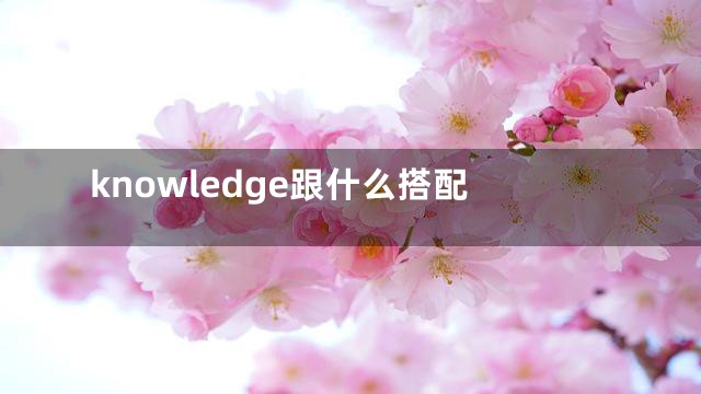 knowledge跟什么搭配