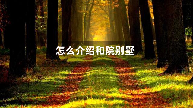 怎么介绍和院别墅