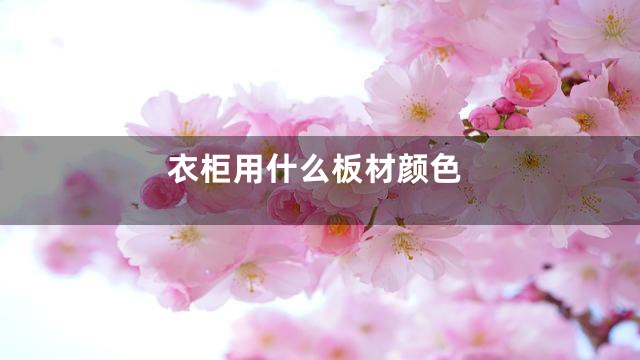 衣柜用什么板材颜色
