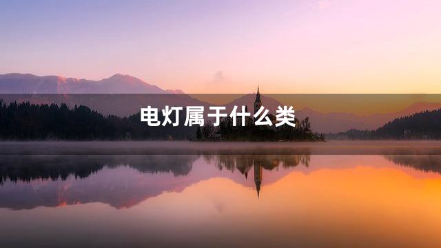 电灯属于什么类