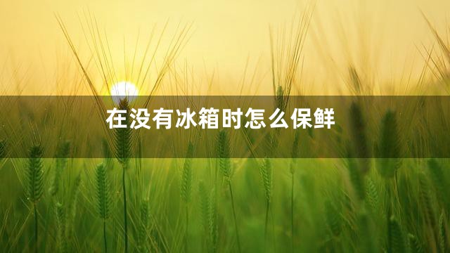 在没有冰箱时怎么保鲜