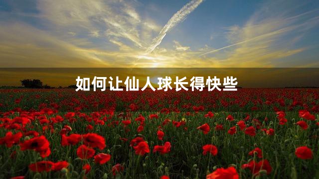 如何让仙人球长得快些