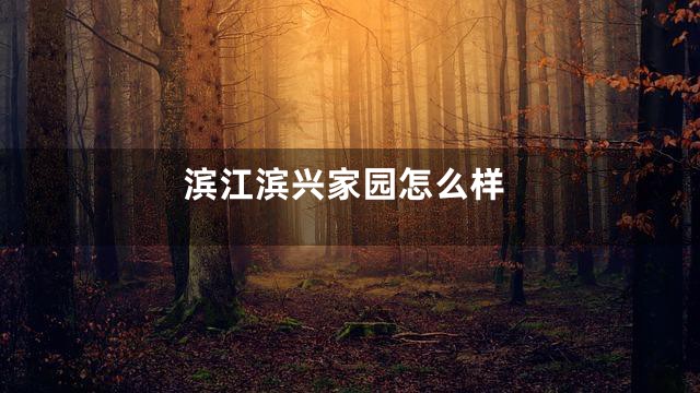 滨江滨兴家园怎么样