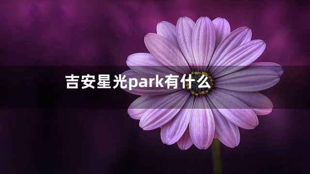 吉安星光park有什么