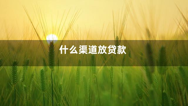 什么渠道放贷款