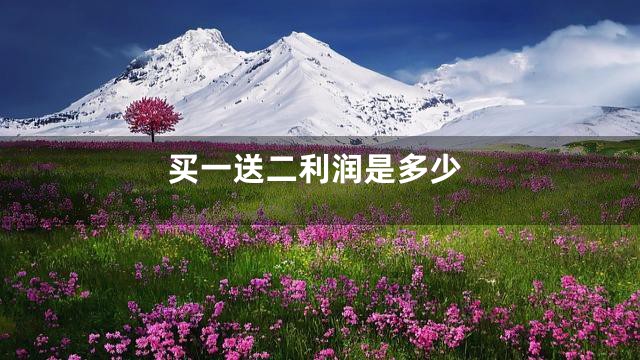 买一送二利润是多少