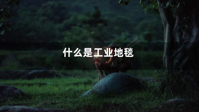 什么是工业地毯