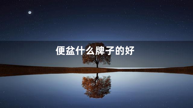 便盆什么牌子的好