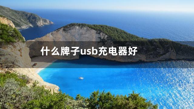 什么牌子usb充电器好