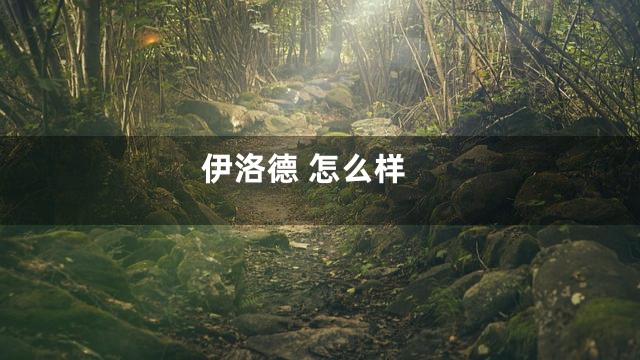 伊洛德 怎么样