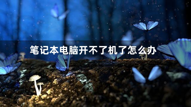 笔记本电脑开不了机了怎么办