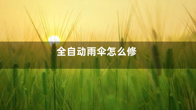 全自动雨伞怎么修