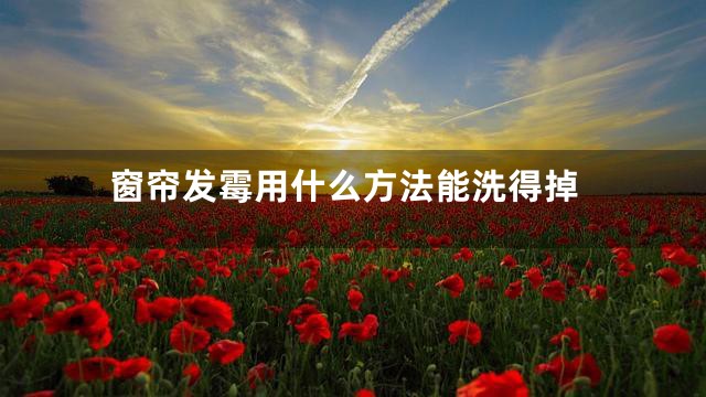 窗帘发霉用什么方法能洗得掉