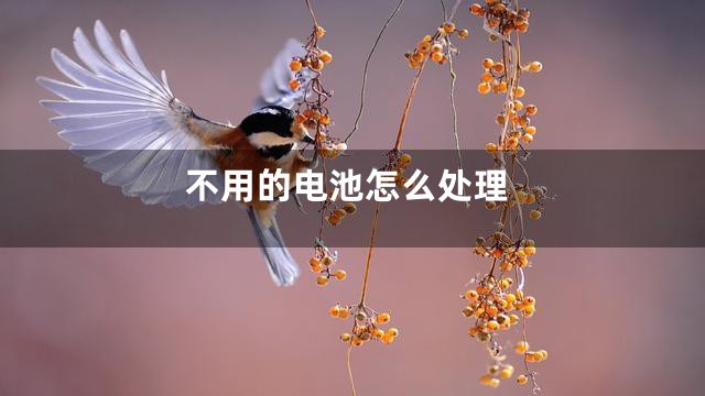 不用的电池怎么处理