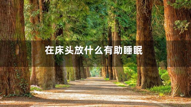 在床头放什么有助睡眠
