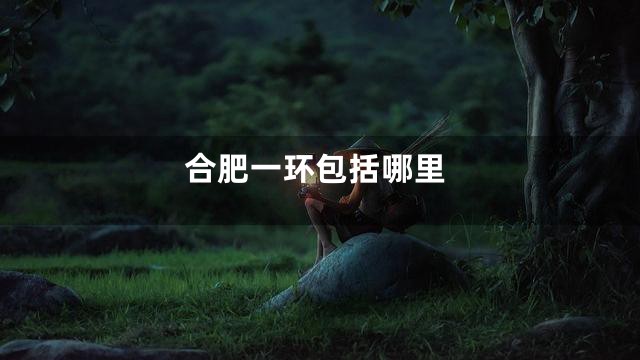 合肥一环包括哪里