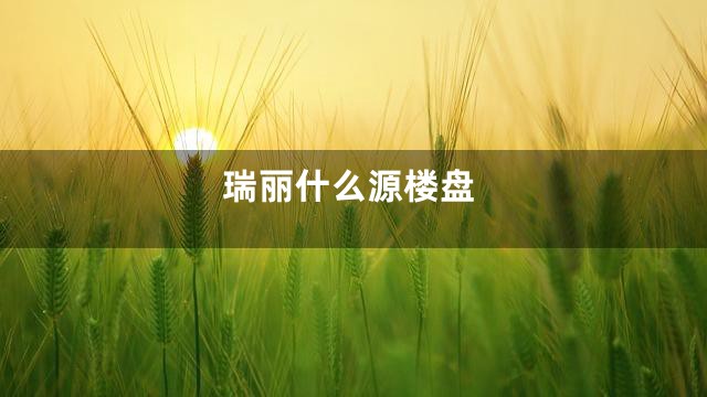 瑞丽什么源楼盘