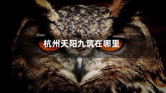 杭州天阳九筑在哪里