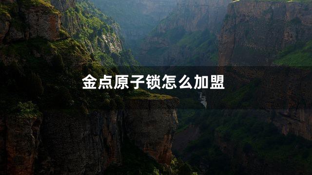 金点原子锁怎么加盟
