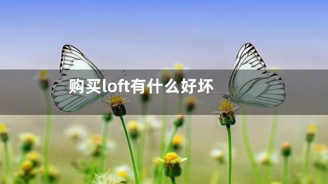 购买loft有什么好坏