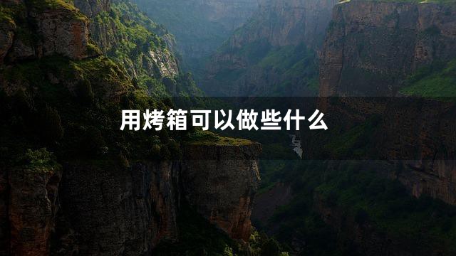 用烤箱可以做些什么